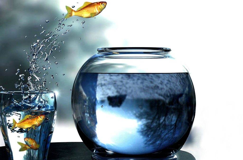 Changer son entourage professionnel permet-il d’apprendre?